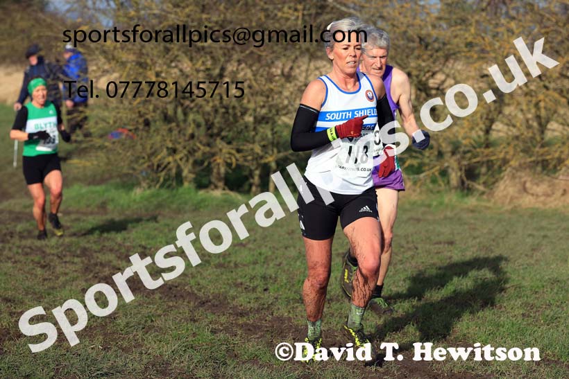 Womens 35 and Over and Mens 65 and Over, 2024 NEMAA Cross Country Champs., Wallsend. Photo: David T. Hewitson/Sports for All Pics